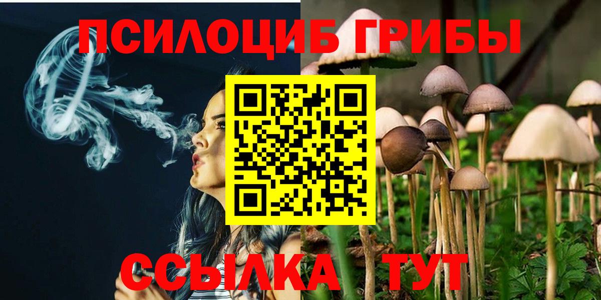 наркотики  Псилоцибиновые грибы GOLDEN TEACHER  Вход с VPN  Ефремов  Псилоцибиновые грибы Magic Shrooms 